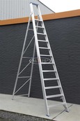 Solide enkele professionele trapladder model PT 12 treden