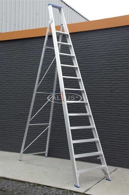 Solide enkele professionele trapladder model PT 12 treden