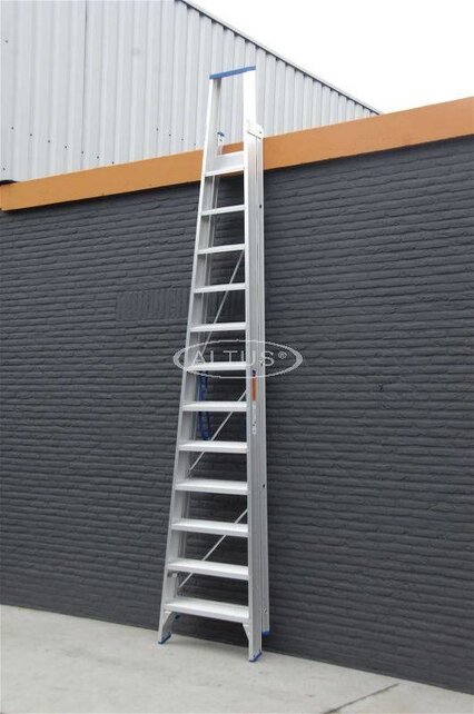 Solide enkele professionele trapladder model PT 12 treden