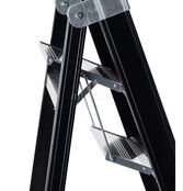 Altrex Taurus enkele professionele trapladder TGB 6