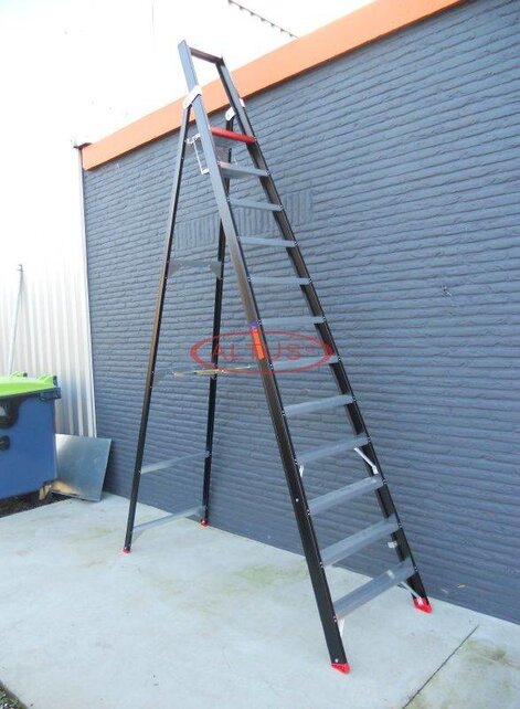 Altrex Taurus enkele professionele trapladder TGB 12