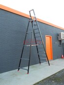 Altrex Taurus enkele professionele trapladder TGB 12