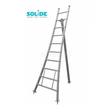 Solide professionele snoei- plukladder 10 treden