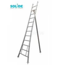 Solide professionele snoei- plukladder 12 treden
