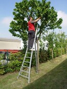 Solide professionele snoei- plukladder 12 treden