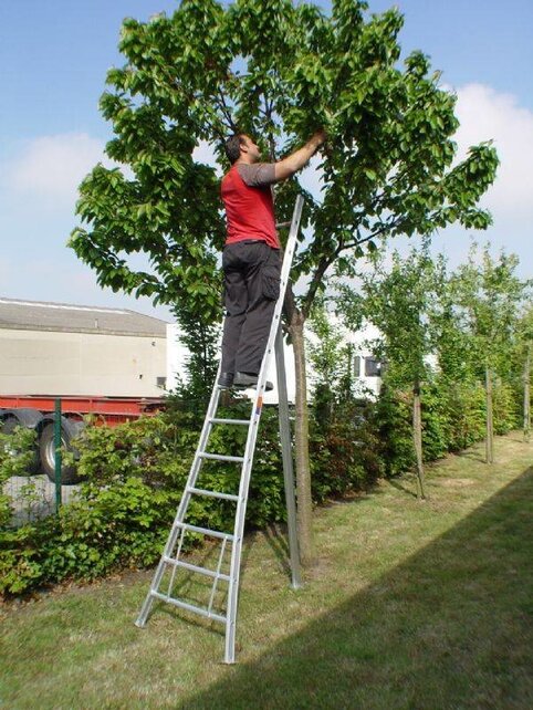 Solide professionele snoei- plukladder 12 treden