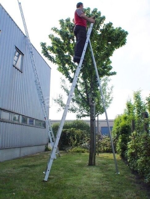Solide professionele snoei- plukladder 16 treden