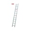 Altrex hobby Altrex enkele ladder all round 12