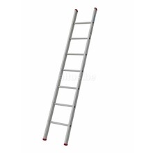 Enkele rechte ladder 7 treden(2,00m)