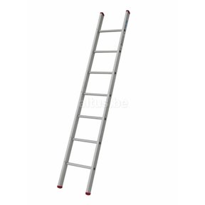 Enkele rechte ladder 7 treden(2,00m)