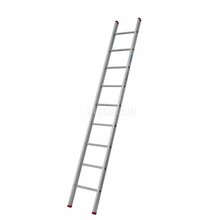 Enkele rechte ladder 9 treden(2,50m)