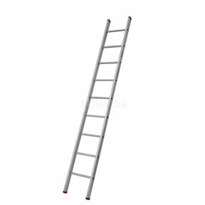 Enkele rechte ladder 9 treden(2,50m)