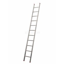 Enkele rechte ladder 11 treden(3,00m)