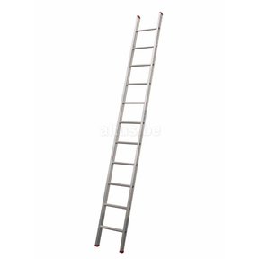 Enkele rechte ladder 11 treden(3,00m)