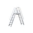 Solide Solide professioneel platform dubbele toegang  2 x 7 treden 1.75m