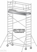Solide professionele rolsteiger RS075x305x6,00VH*