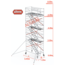Altrex Altrex trapsteiger rs tower 53 /1.35 x 2.45 x 8.20m werkhoogte