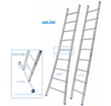 Solide professionele enkele ladder 9 treden 2.50m
