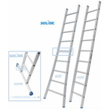 Professionele enkele ladder 9 treden 2.50m
