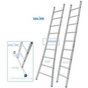 Professionele enkele ladder 9 treden 2.50m