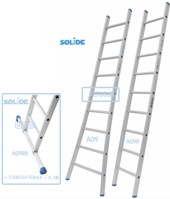 Solide professionele enkele ladder 9 treden 2.50m