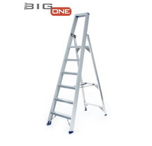 Professionele enkele trapladder 6 treden model ATOM