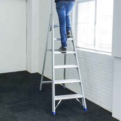 Professionele enkele trapladder 6 treden model ATOM