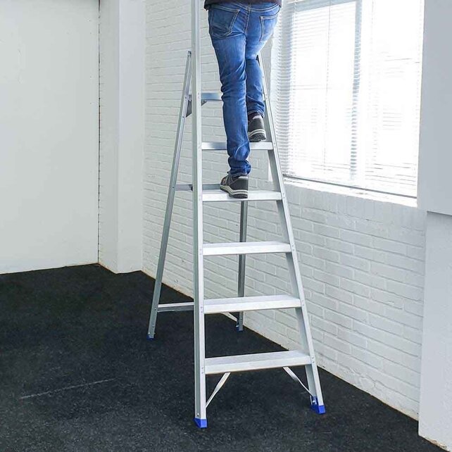 Professionele enkele trapladder 6 treden model ATOM