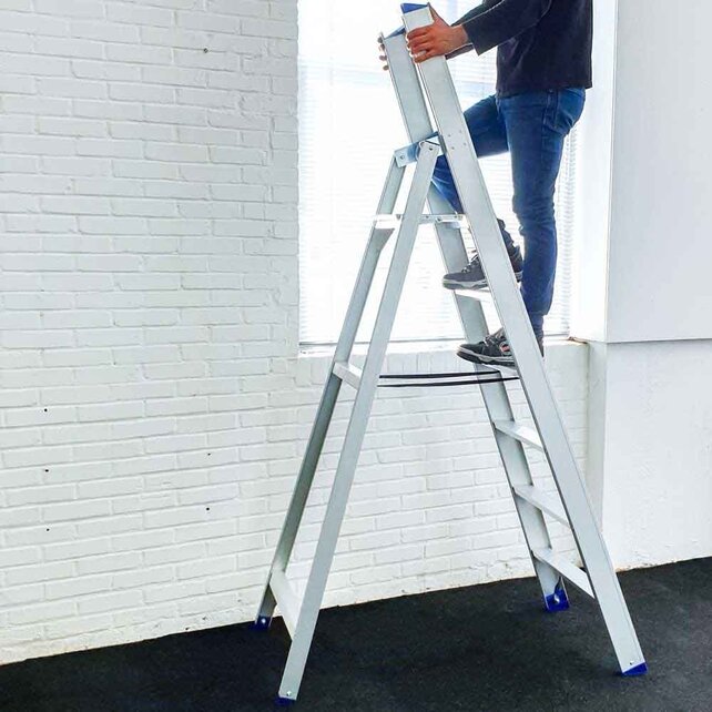 Professionele enkele trapladder 6 treden model ATOM