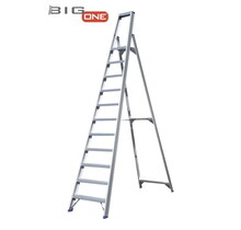 Professionele enkele trapladder 11 treden model ATOM