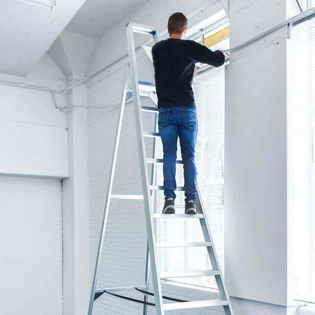 Professionele enkele trapladder 12 treden model ATOM