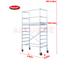 module 1 All-round rolsteiger 2.30m vh= 4.30m wh