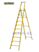 GVK trapladder 10 treden