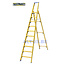 STALTOR GVK trapladder 10 treden