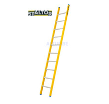 Enkele GVK ladder 10 alu sporten