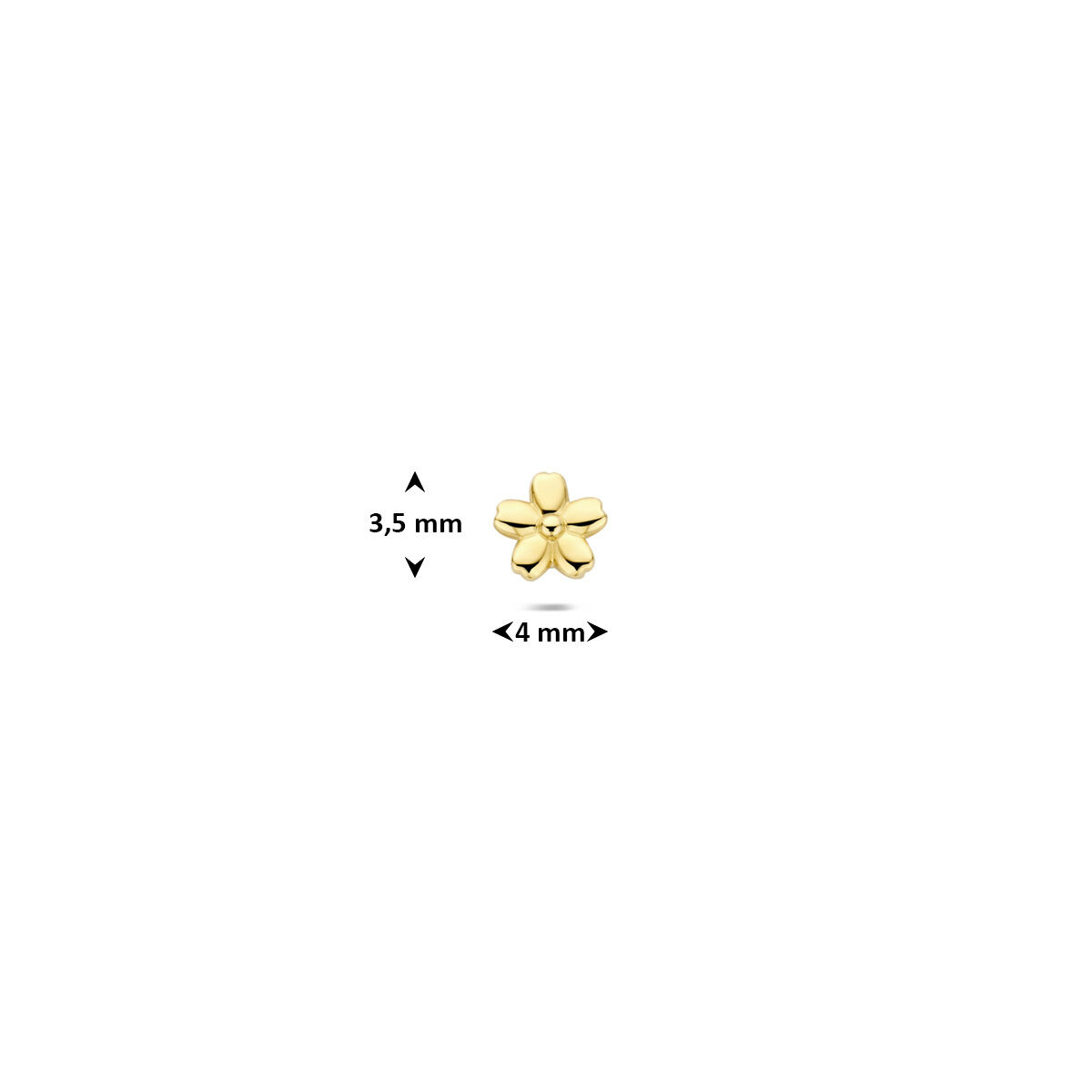 Fleur de Kiki Piercing GG35642-4