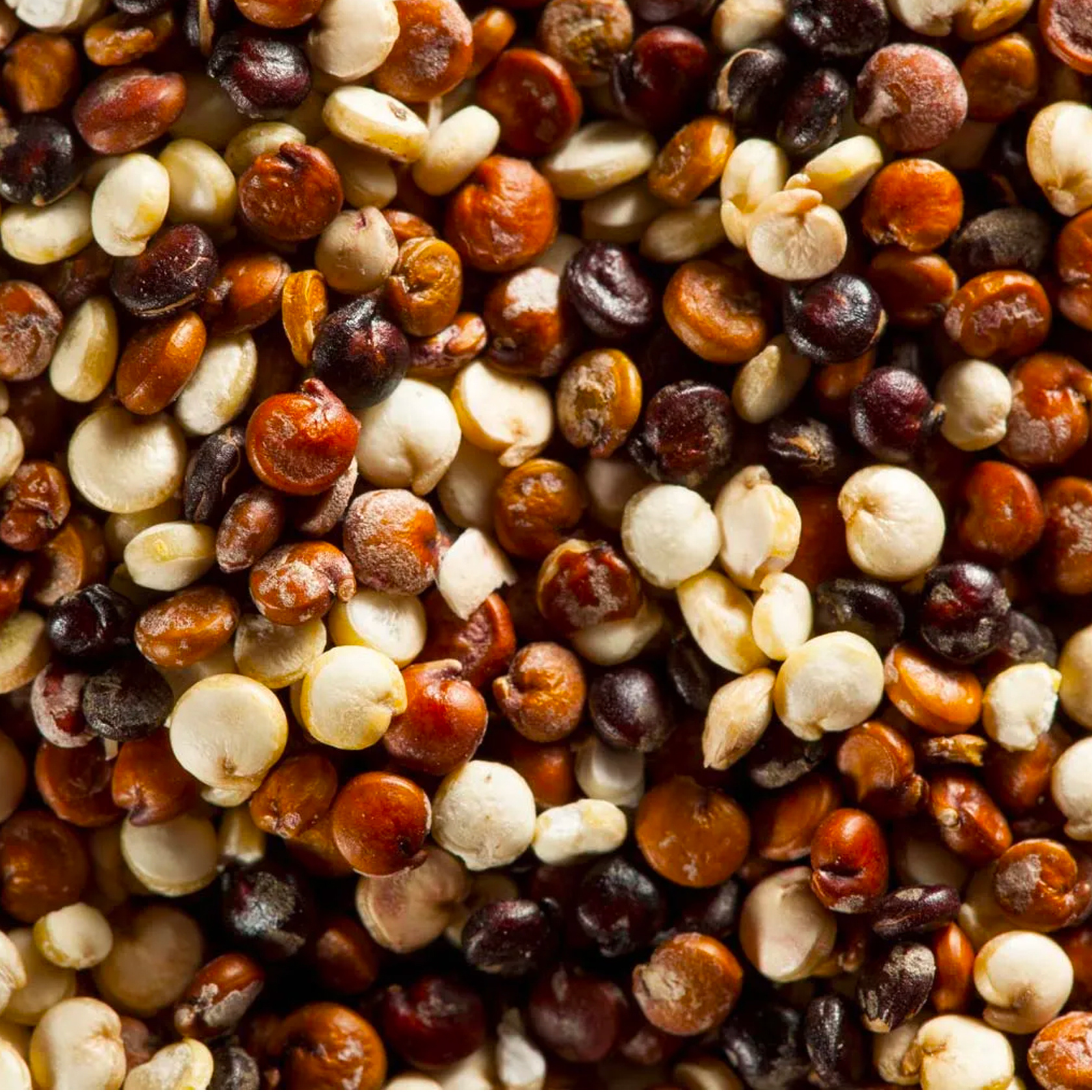 Roverhair Ultimate Nutris shampoing