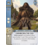 Ares Games War of The Ring - The Cardgame exp. - Fire and Swords