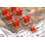 DSV Games Ratten van Wistar