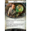 Fantasy Flight Games ARKHAM HORRArkham Horror The Card Game - Chapter TwoOR THE CARD GAME REVISED - Copy