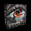 Alion Games Recall - EN