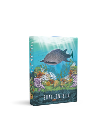 DSV Games Shallow Sea - Zeldzame Vissen - NL