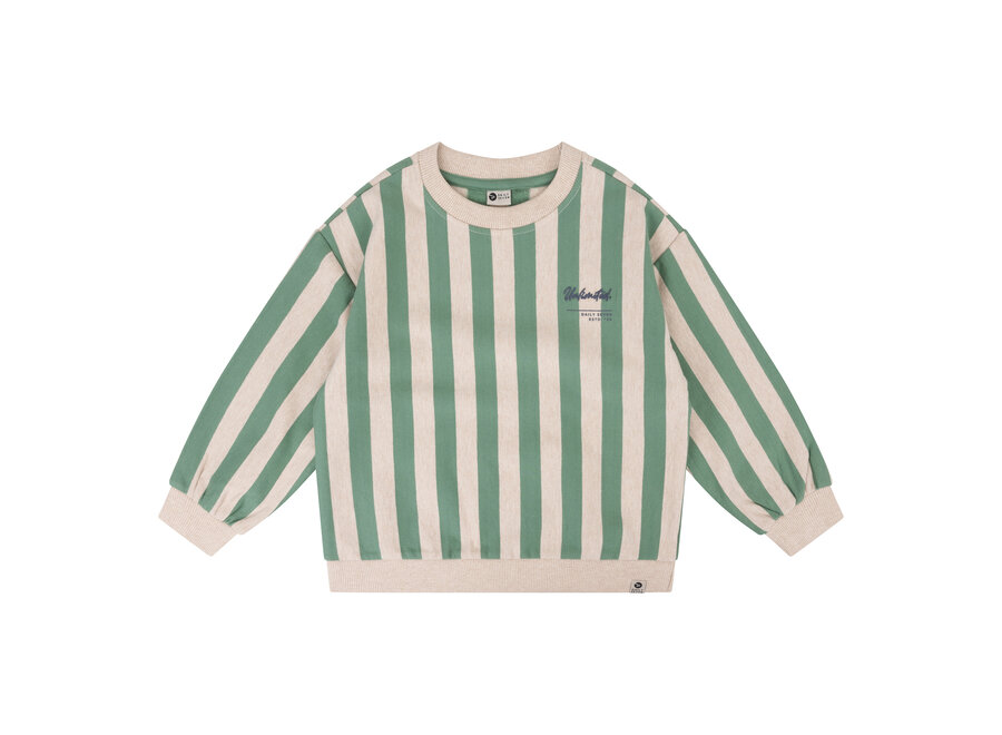 Sweater Oversized Stripe 920034 SlateGreen