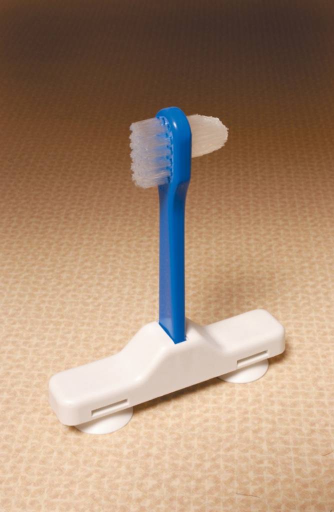 Tandenborstel Kunstgebit Op Zuignap huismerk kopen in de aanbieding