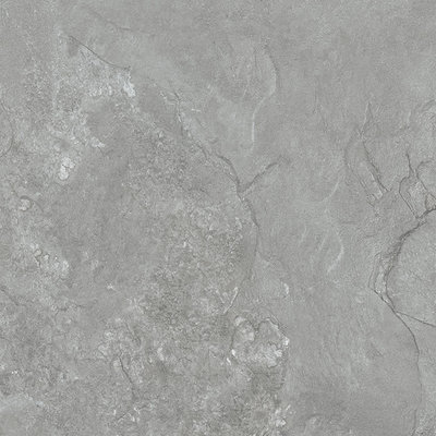 Vloer- en wandtegel Grand Cave grijs 120 x 60 cm