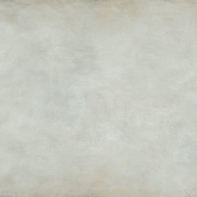 Patina Plate Wit MAT 1198 x 598 Tegel