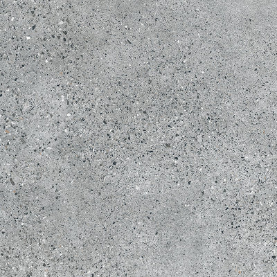 Terrazzo Grey MAT 1198 x 598 Tegel