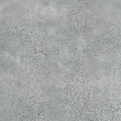 Terrazzo Grey MAT 2398 x 1198 Tegel