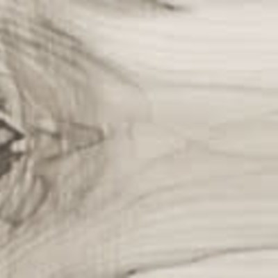 Vloertegel met houtlook Wood Land grijs 120 x 19