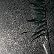 Organic mat Grijs STR 163 x 448 Organic mat Grijs STR 163 x 448